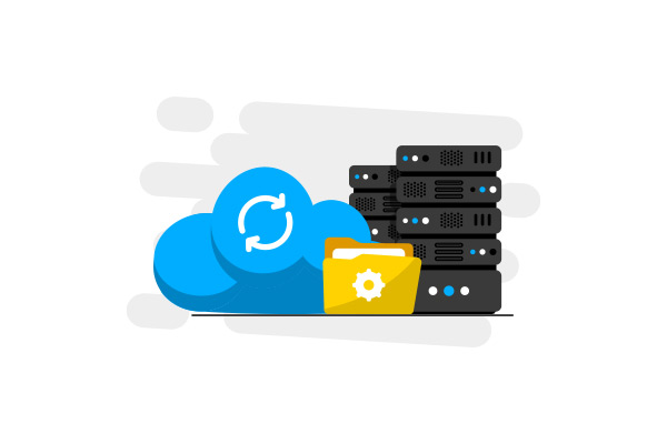 Web Hosting & Security